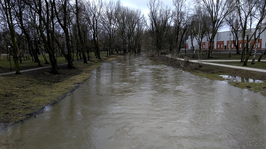 Bardzo wysoki poziom Wolbórki na wysokości Parku Bulwary