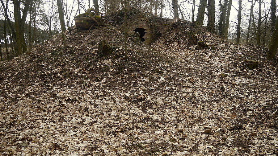 Goraj - park podworski