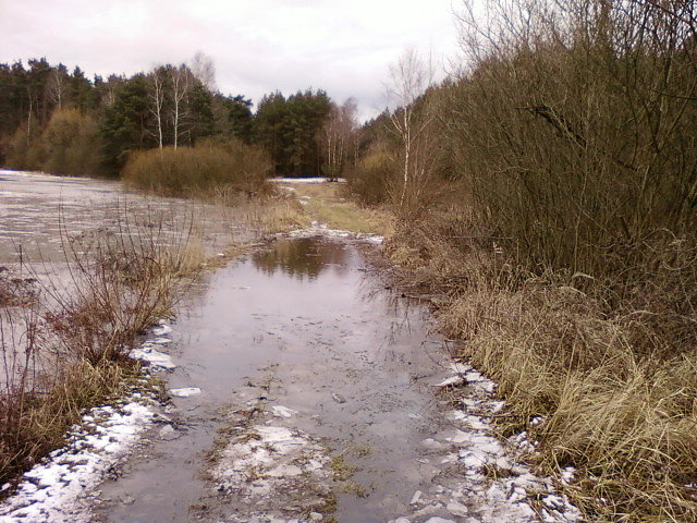 Zalana droga