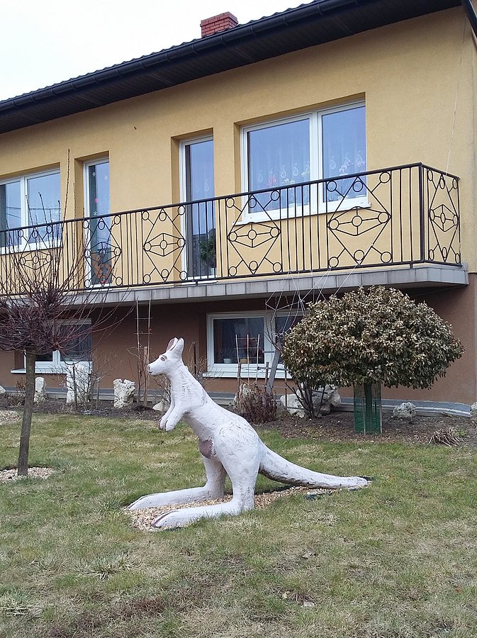 Typowe, polskie zwierzątko wiejskie: kangur :)