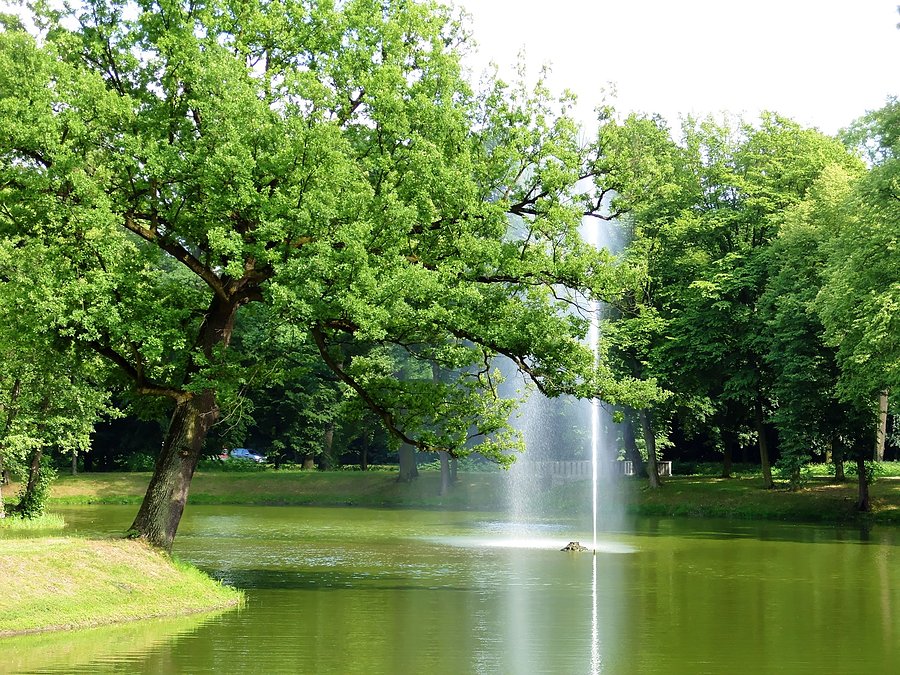 Fosa pod zamkiem