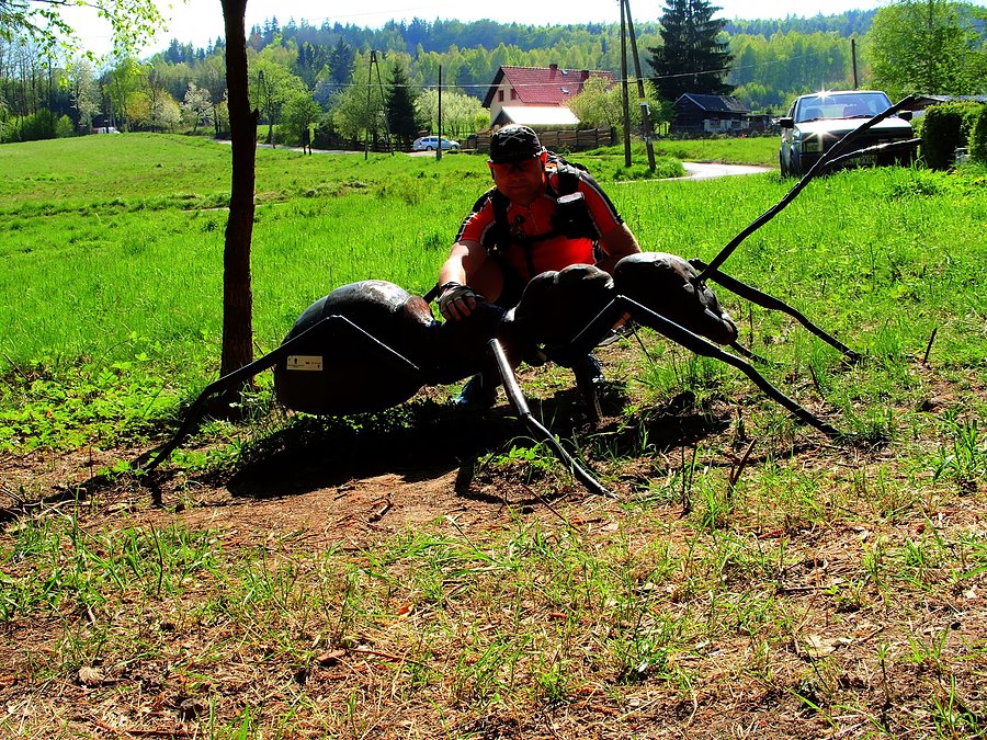 Atak mrówek gigant