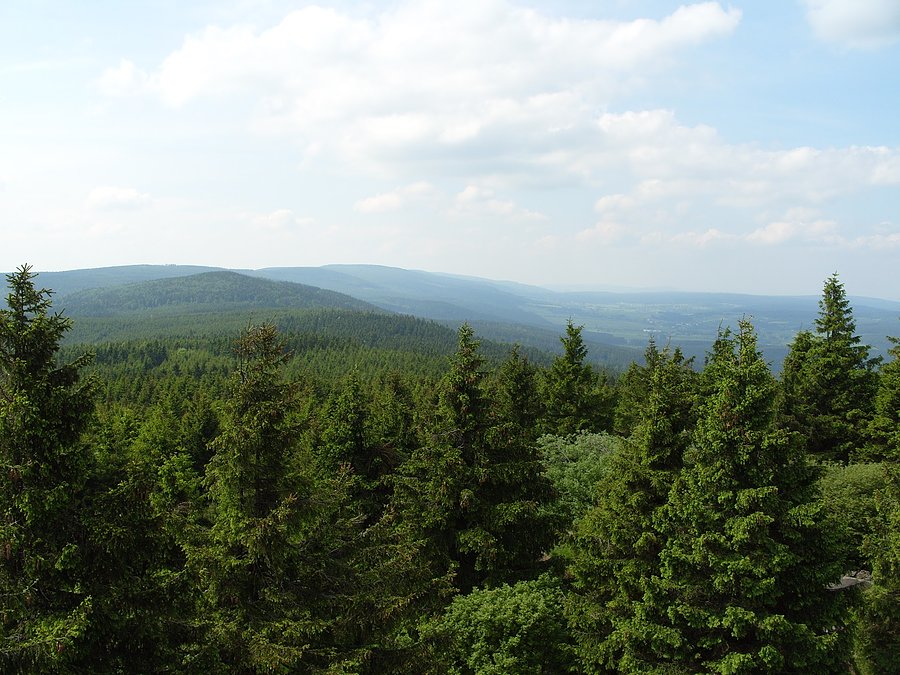 Widok na góry Orlickie