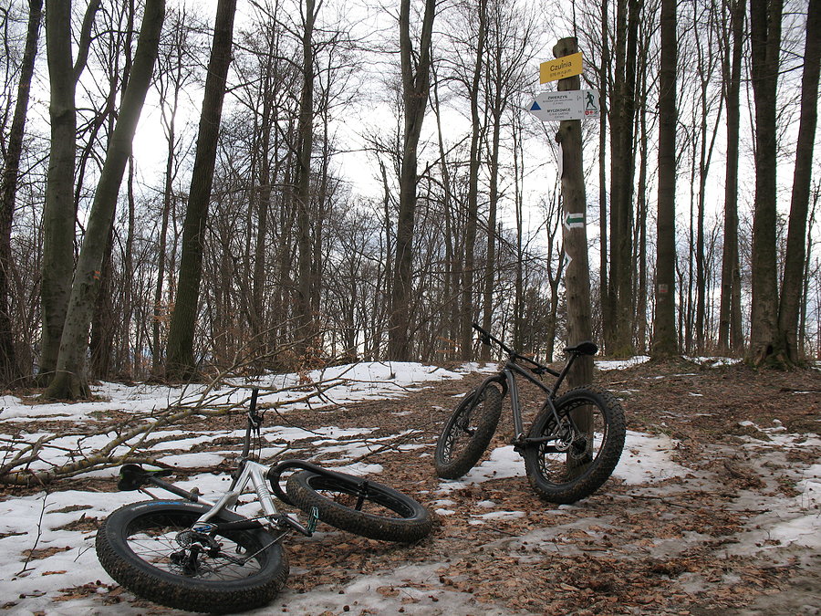 Czulnia (576 mnpm)