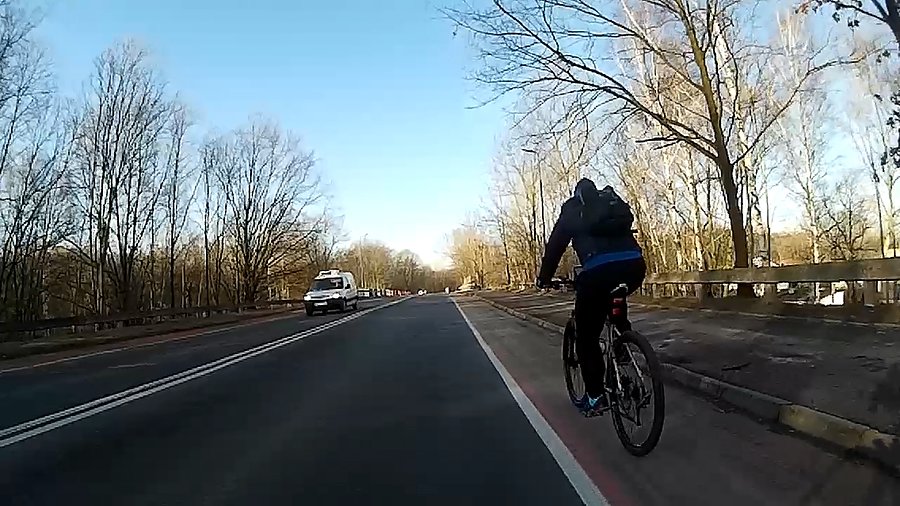 Króliczek na podjeździe ;)