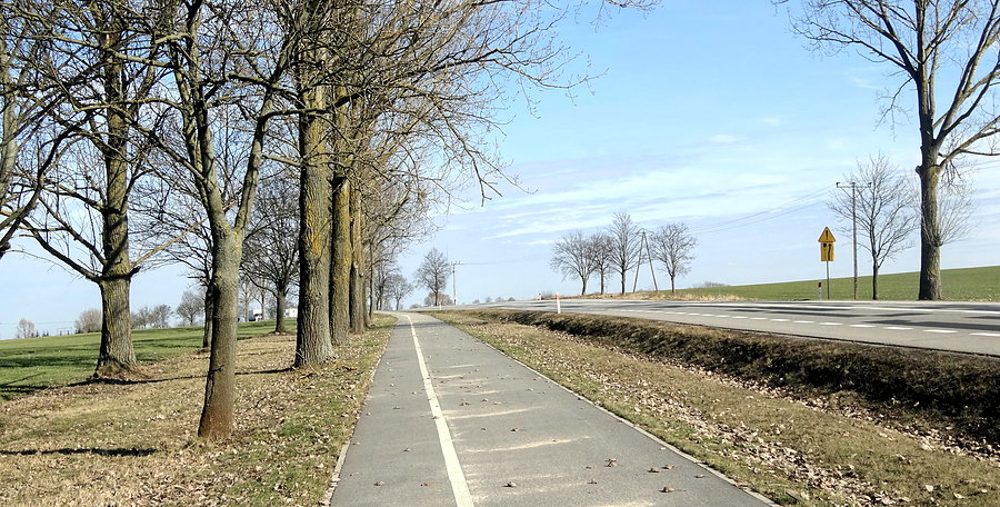 DDR czyli Szwarcówka pod Kołbaskowem