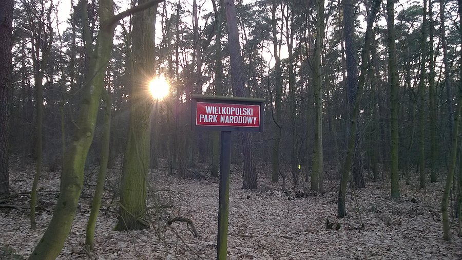 Wielkopolski Park Narodowy <3