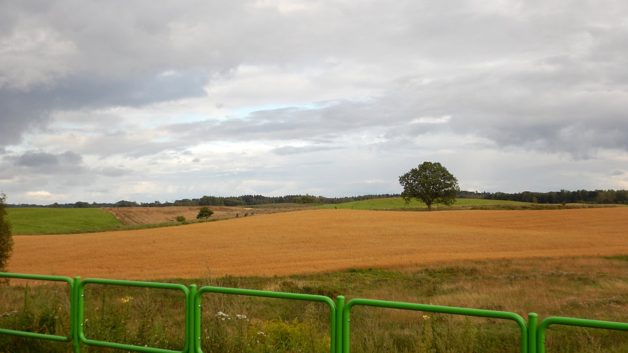 Wyprawa, dzień 9 - widoczek