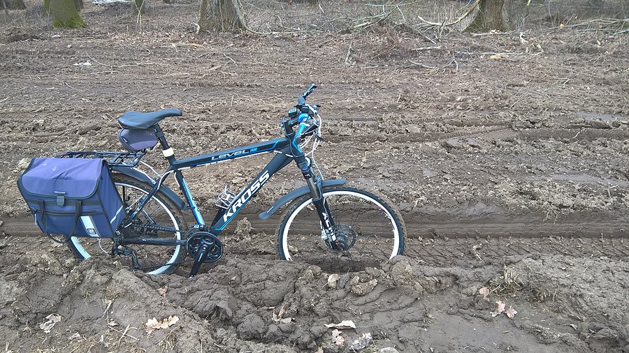 Ktoś kto wycina ten lasek totalnie rozwalił drogę
