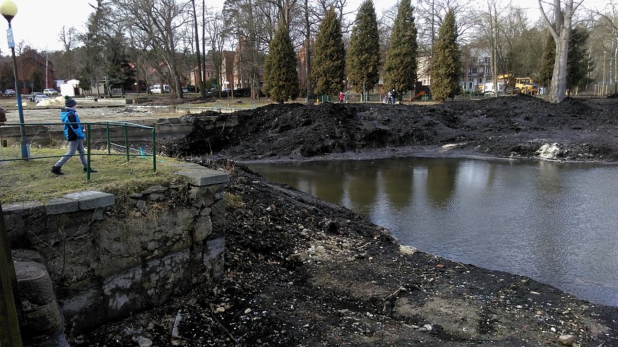 Tak oto czyści się staw w Spale