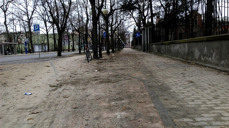 Kiedy sprzątanie świata? Przyjedźcie do nas, wolonatriusze!