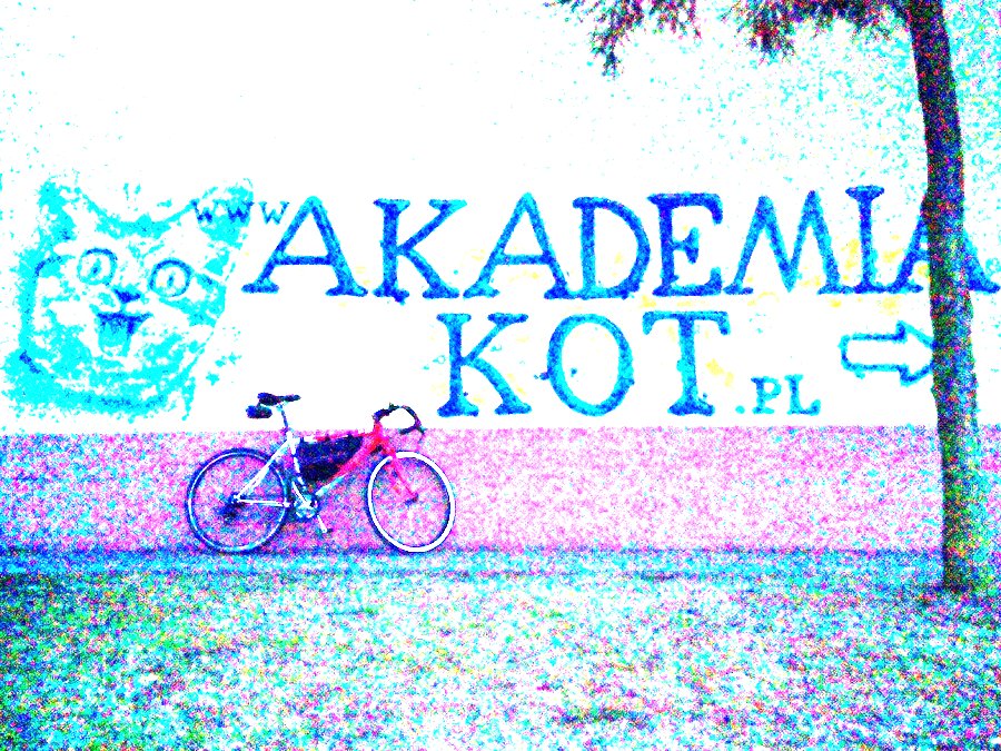 Akademia KOT - z dedykacją ;)
