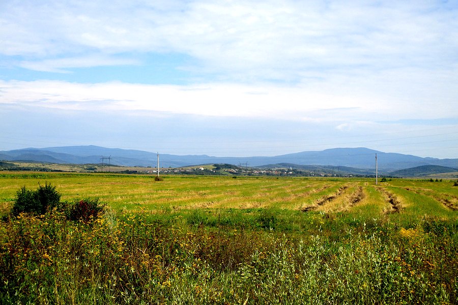 Okolice Kajdanowa z widokiem na Antałowiecką Polianę (968 m) i Makowicę (978 m)