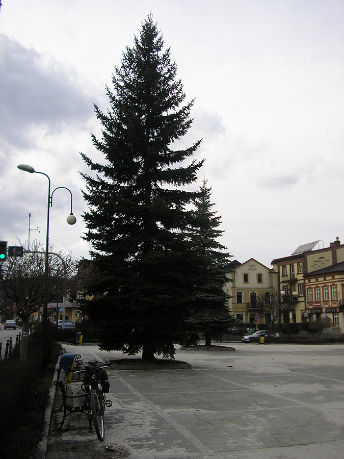 W Suchej