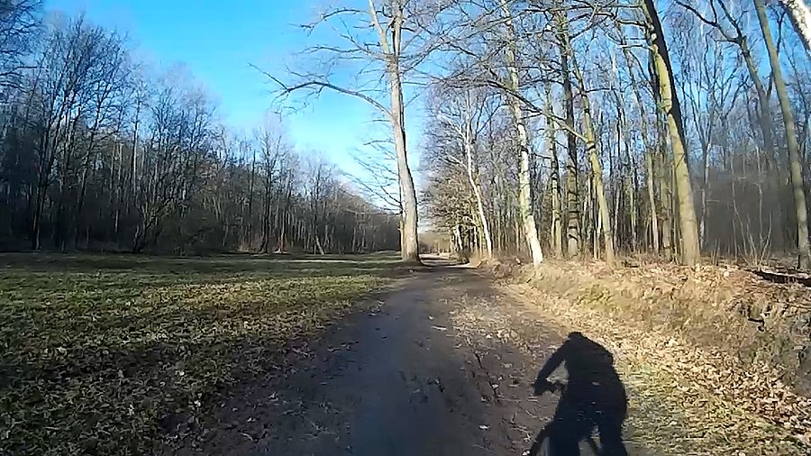 W lasku Makoszowskim :)