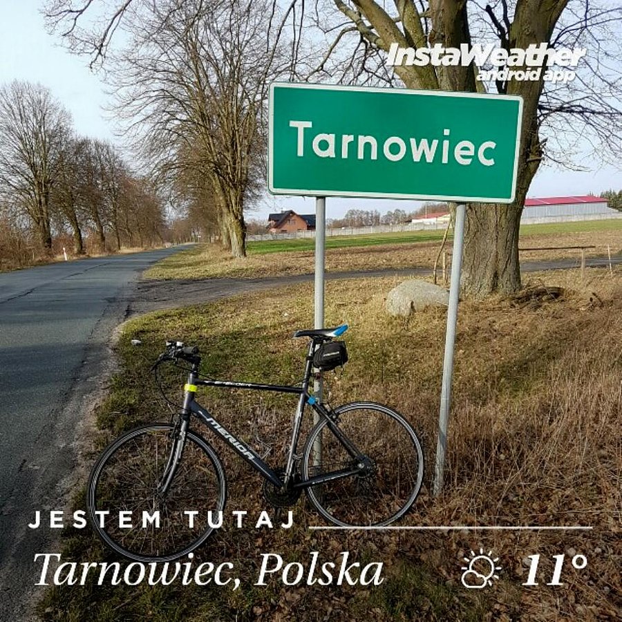 Tarnowiec