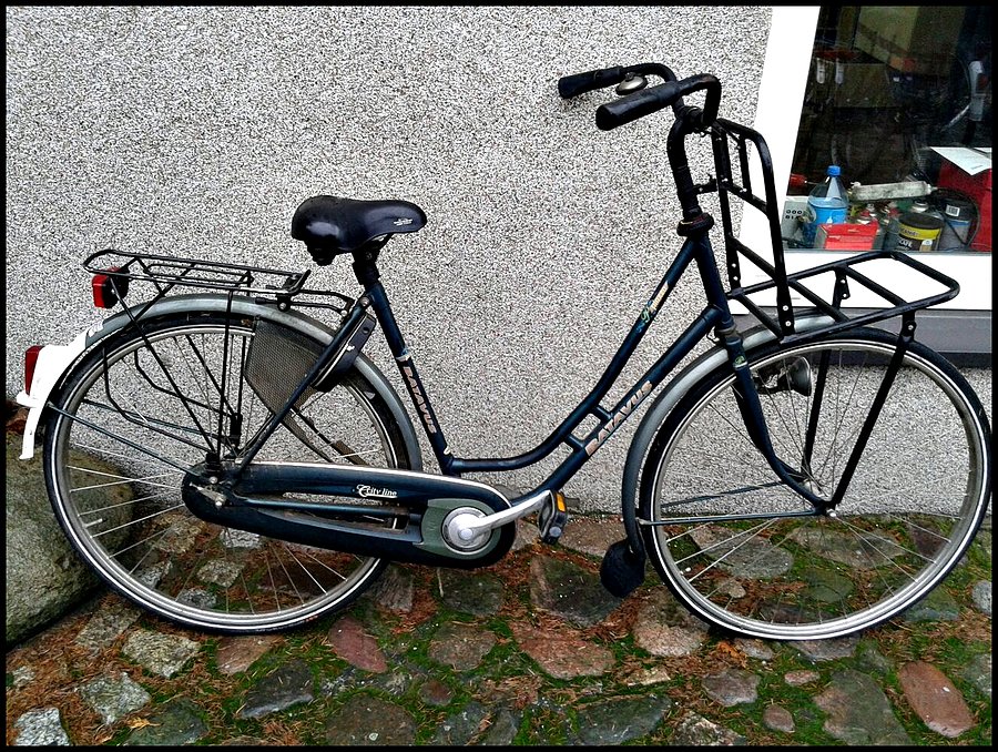 Batavus dla justynki