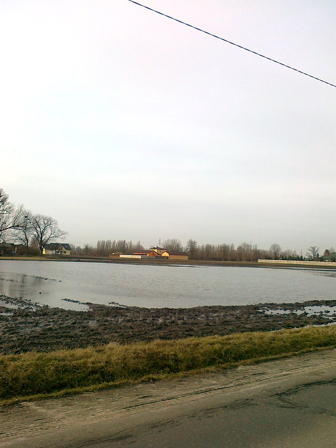 To nie staw, tylko wiosenne pole