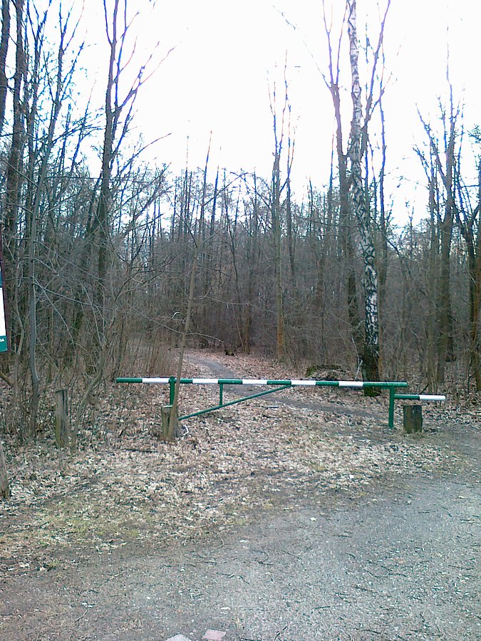 Łosiowe błota