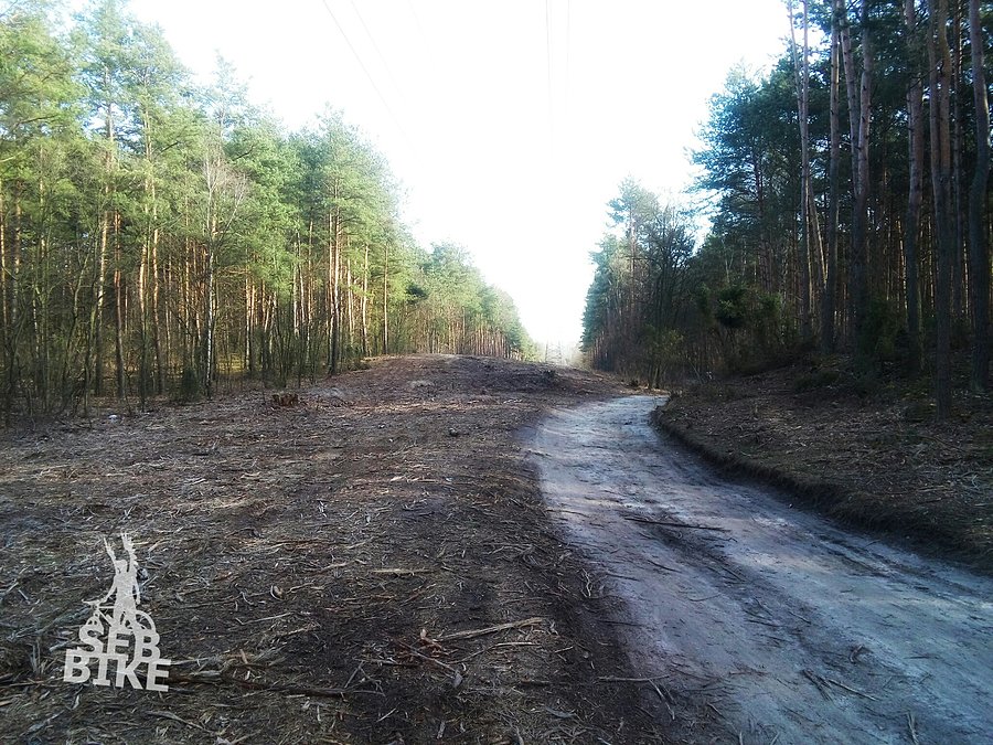 Kampinos