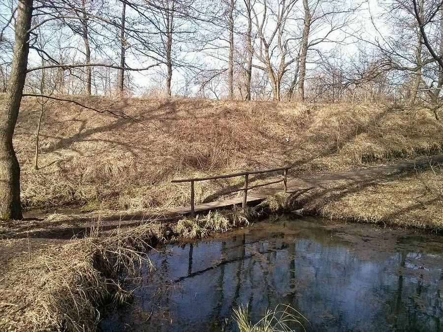 Mostek na trasie
