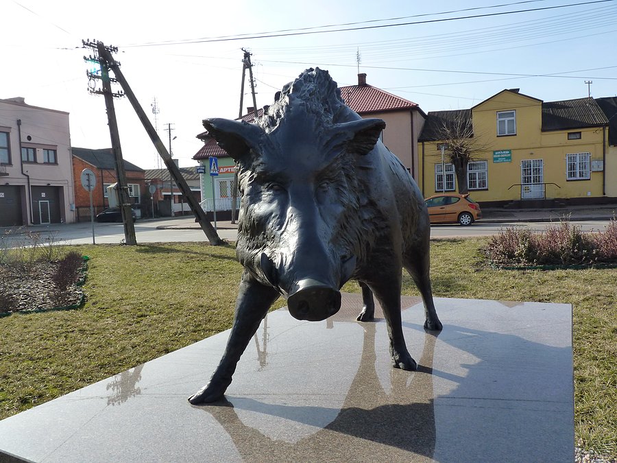 Pomnik dzika w Kiernozi
