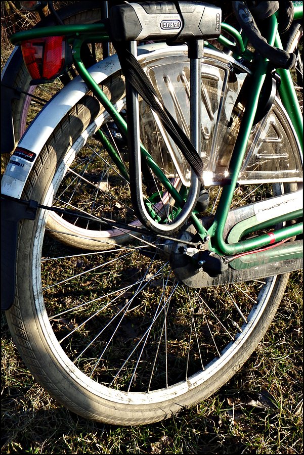 Opona schwalbe big apple po prawie 5500km