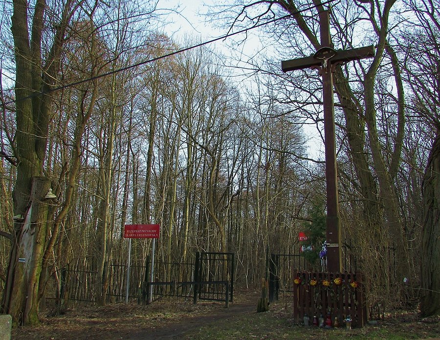 Rezerwat Skarpa Ursynowska