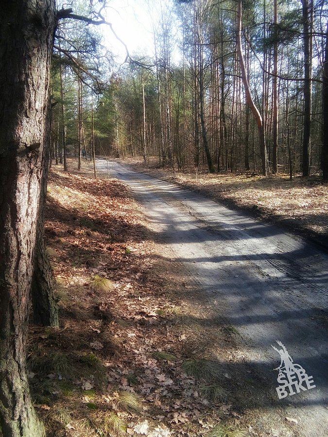 Kampinos