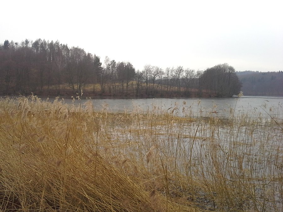 Nad jeziorem w Ostrzycach