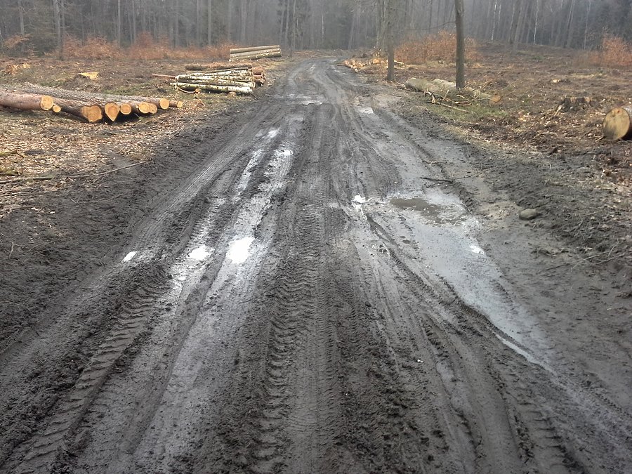 Jest błoto, jest zabawa