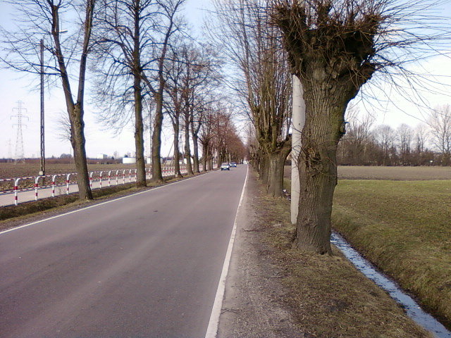 Ksawerów, ul. Szkolna