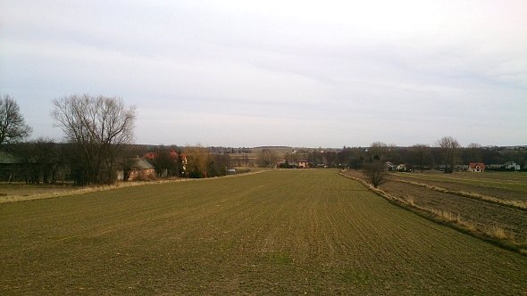 Pola w Iżycach