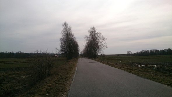 Prosta w Bychawce