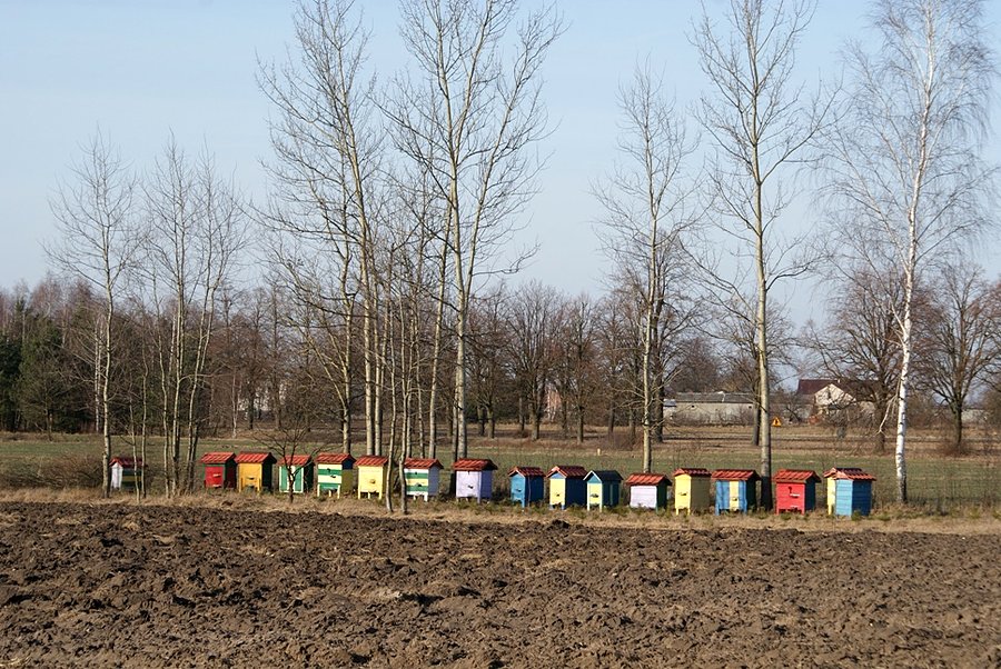 Kolorowe ule koło lotniska wojskowego w Nowym Glinniku
