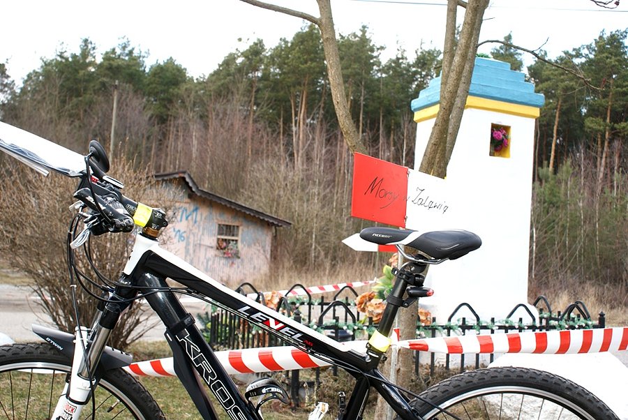Tresta - dziś, zaraz Ogólnopolski Zlot Morsów - Morsy w Zalewie ;)