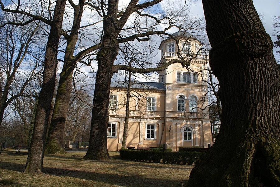 W parku okalającym Pałac Ostrowskich, siedzibę muzeum