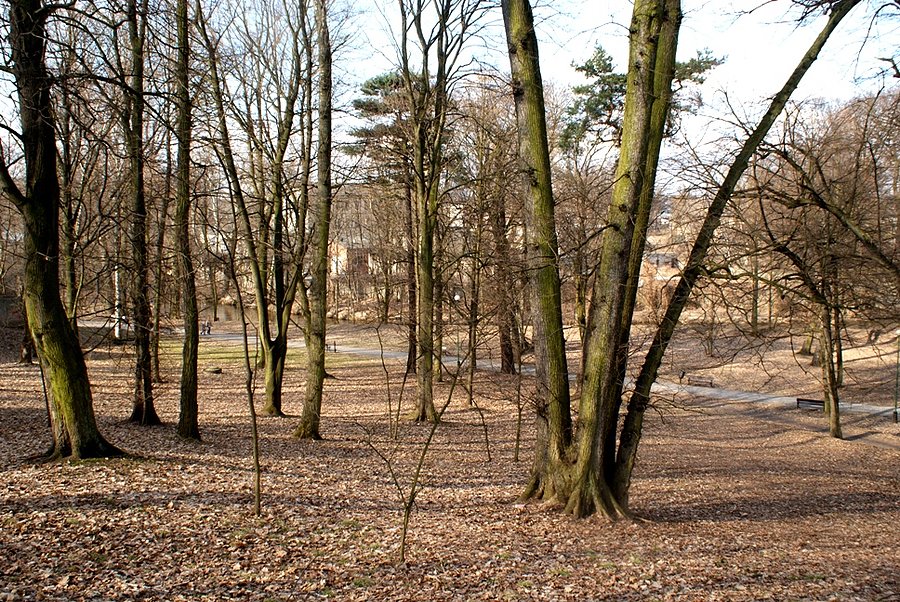Widok z góry na Park Solidarność