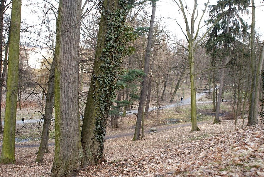Jeszcze raz widok na Park Solidarność
