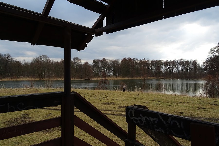 Rezerwat Stawy Raszyńskie