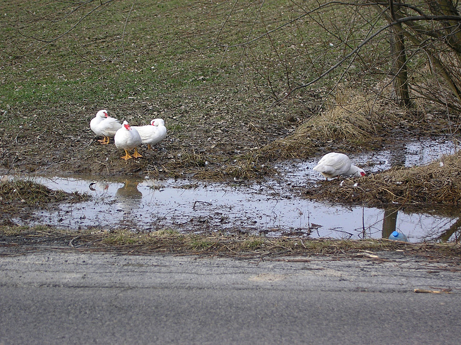 Nie ma to jak świeże błotko :)