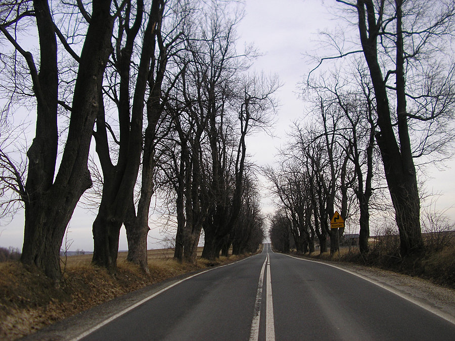 Przyjemna droga