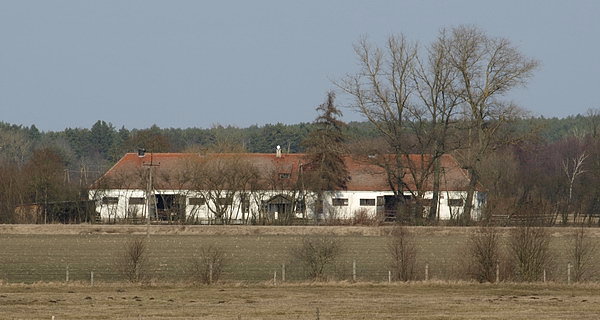 Prywatne stajnie przy Stadninie Koni Janów Podlaski