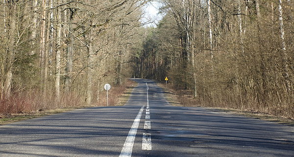 Kierunek: Janów Podlaski