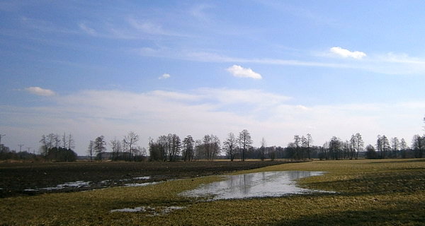 Nadbużańskie łąki i pola