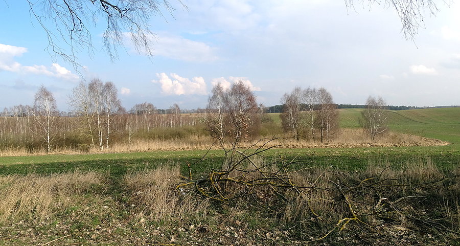 Niemcy - wiosenny krajobraz