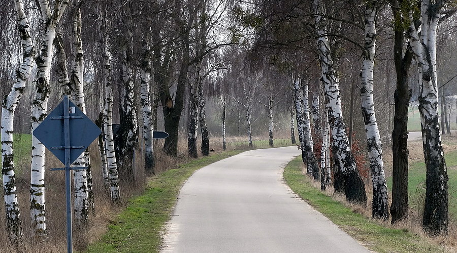 5 Km bez aut trasa Blankensee - Bismark