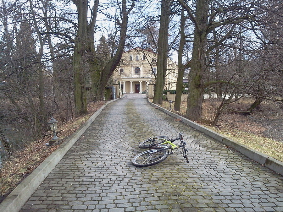 Dębowiec