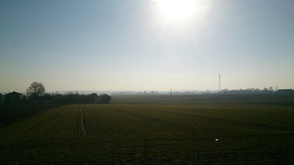 Słoneczko nad polami