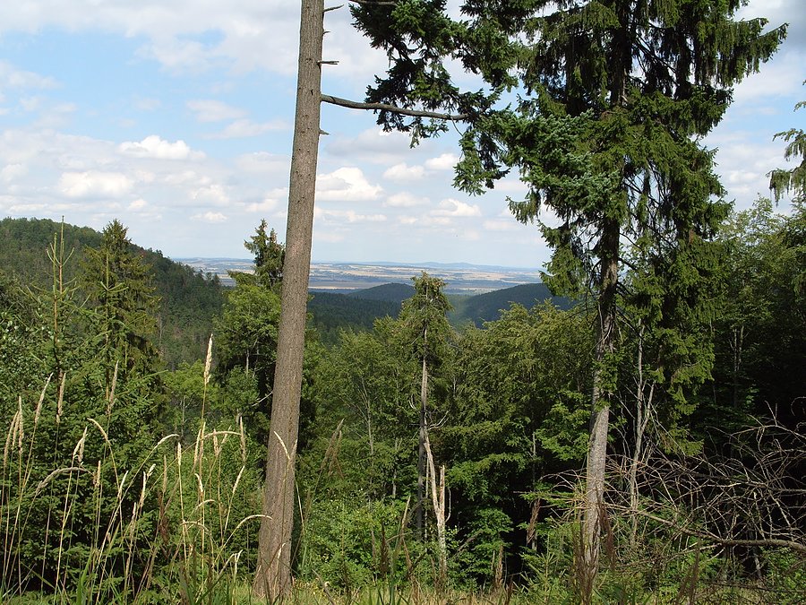 Widok na Kamieniec